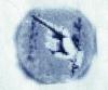 Society for Peace and Development (SPD) Society for Peace and Development (SPD)