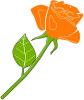 SDP SDP